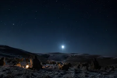 Shepherds Field Under Bethlehem Star