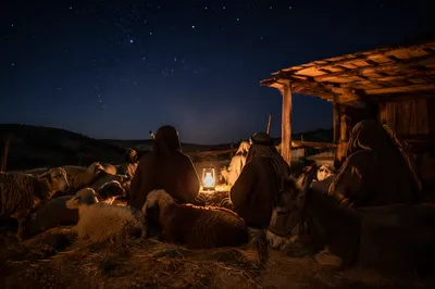 Shepherds Field Under Christmas Night Stars