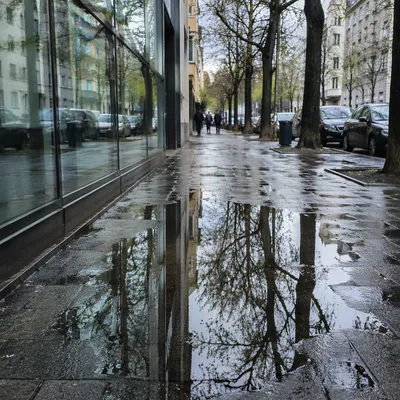 Spring Rain Puddle Reflection on City Sidewalk