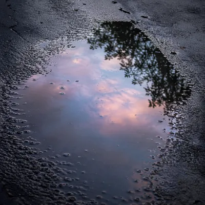 Spring Rain Puddle Reflecting Evening Sky