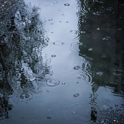Spring Rain Puddle Sky Reflection