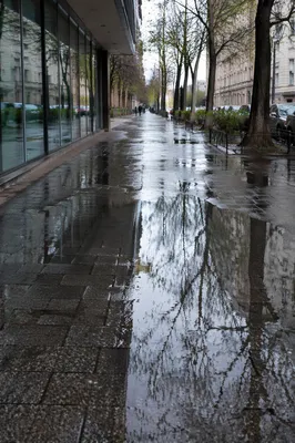 Spring Rain Puddle Reflecting City Sky