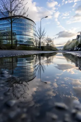 Spring Rain Puddle Sky Reflection