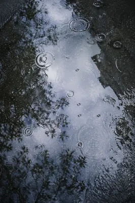 Spring Rain Puddle Reflecting Cloudy Sky