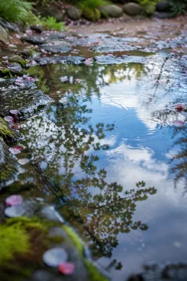 Spring Rain Puddle Reflecting Blue Sky
