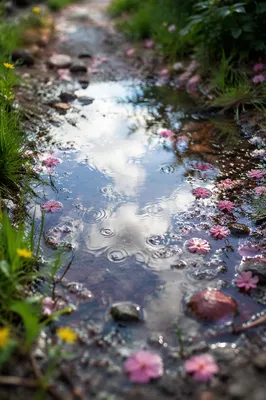 Spring Rain Puddle Reflecting Bright Sky