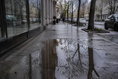 Spring Rain Puddle Reflection on Urban Sidewalk