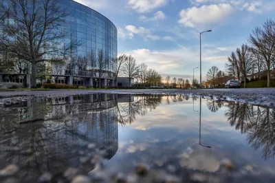 Spring Rain Puddle Reflection at Dusk