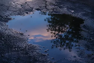 Spring Rain Puddle Reflecting Evening Sky
