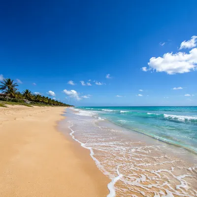 Sunny Summer Beach with Blue Waves