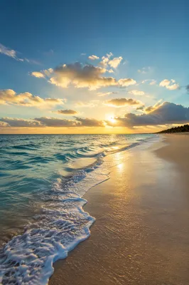 Sunny Summer Beach Waves at Golden Hour