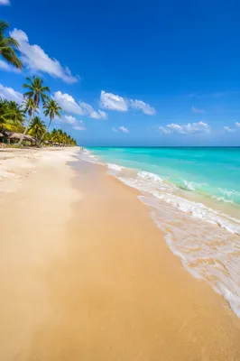Sunny Summer Beach with Blue Waves