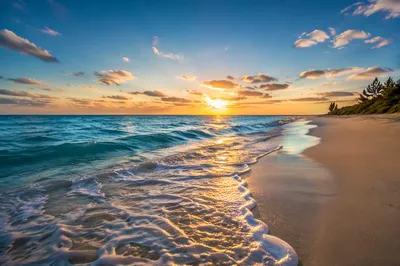 Sunny Summer Beach Waves at Golden Hour