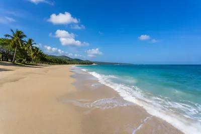 Sunny Summer Beach with Blue Waves