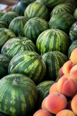 Fresh Summer Watermelons at Farmers Market