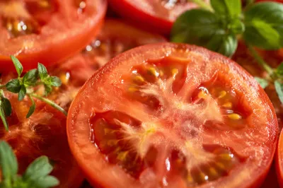 Sunlit Summer Tomatoes and Fresh Herbs