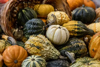 Thanksgiving Cornucopia Harvest Altar Display