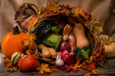 Thanksgiving Cornucopia Harvest Altar Still Life