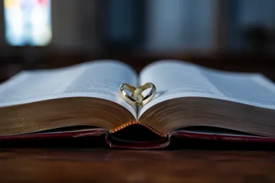 Gold Wedding Rings on Open Scripture