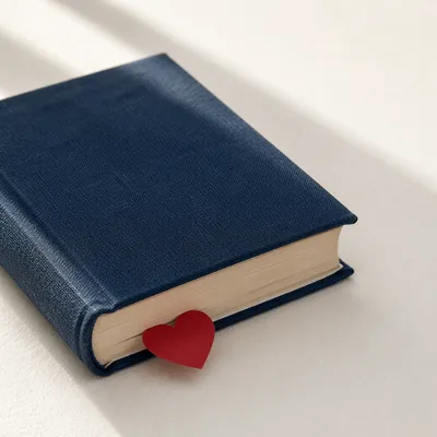 Valentine Heart Bookmark in Navy Bible