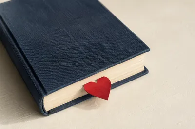 Valentine Heart Bookmark in Navy Bible
