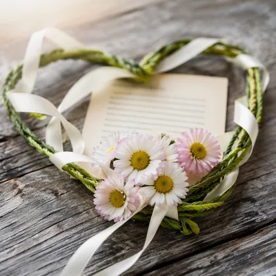 Heart Shaped Ribbon and Daisy Still Life