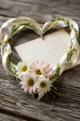 Heart Shaped Ribbon and Daisies Still Life