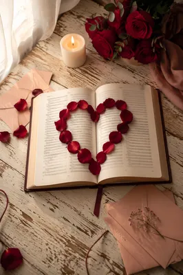 Heart Shaped Rose Petals on Open Book