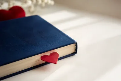 Valentine Heart Bookmark in Navy Bible