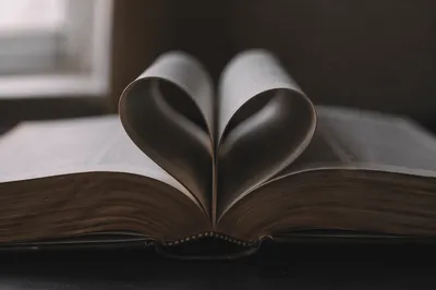 Heart-Shaped Bible Pages for Valentines Devotion