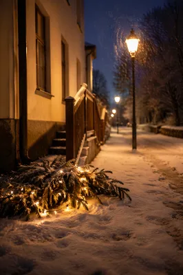 Cozy Winter Street Lamps at Twilight