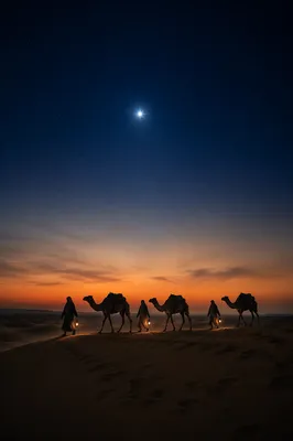 Wise Men Caravan Beneath Christmas Star