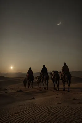Wise Men Caravan Under Guiding Star
