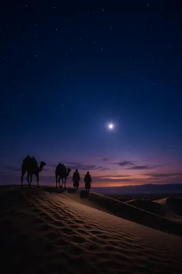 Wise Men Crossing Desert Under Advent Star