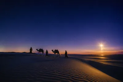 Wise Men Crossing Desert Under Advent Star