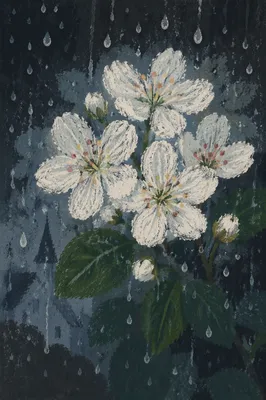 April Rain on Spring Blossoms Window