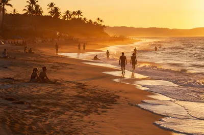 Golden Hour Beach Sunset Along Shoreline