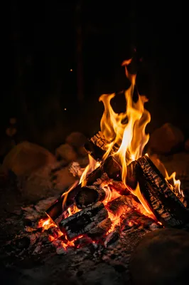 Cozy Autumn Bonfire Flames at Night