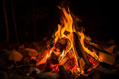 Cozy Autumn Bonfire Flames at Night