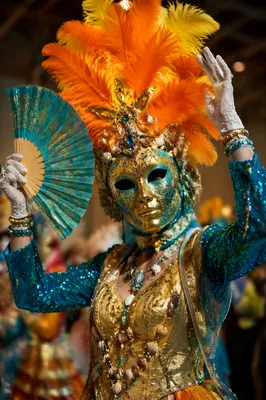 Vibrant Carnival Mask and Feather Headdress