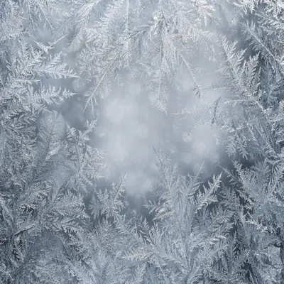 Frozen Window Pane Frost Crystal Pattern