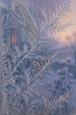 Intricate Frost Patterns on Winter Window