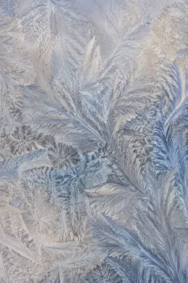 Delicate Frost Crystals on Winter Window