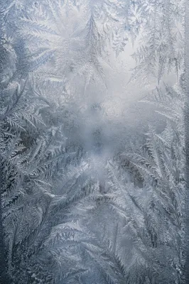 Frozen Window Ice Crystal Pattern Closeup