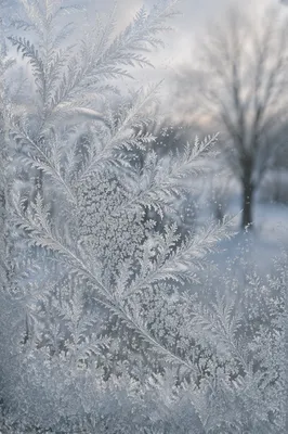 Frozen Window Pane Frost Crystal Close-Up