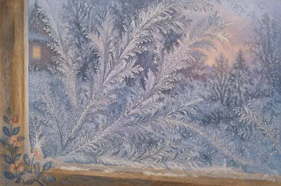 Intricate Frost Crystals on Winter Window