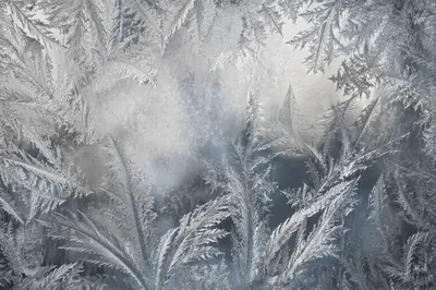 Frozen Window Pane Frost Crystal Pattern