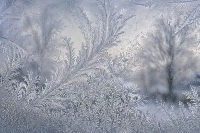 Intricate Frost Crystals on Winter Window