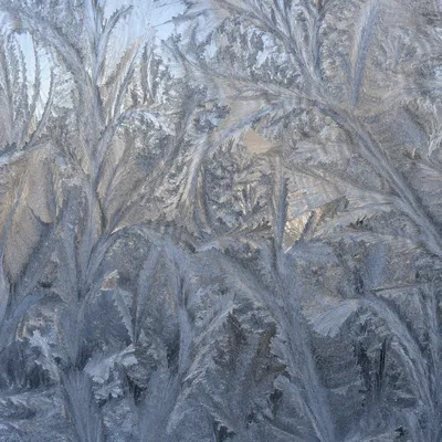 Delicate Frost Crystals on Winter Window