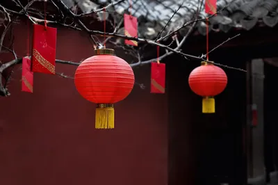 Serene Lunar New Year Lanterns and Envelopes